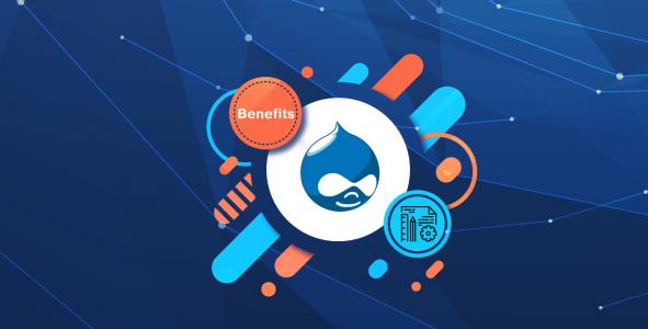 Benefits of Developing an eCommerce Website with Drupal
